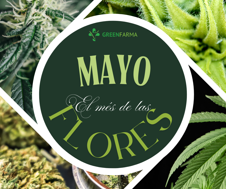 Este mes te traemos 3 promociones irresistibles: 🔹 PACK DE FLORES DESCUBRIMIENTO – 10 variedades, 10g en total 🌸 🔹 PACK “SMALL-BUDS” – 4 variedades, 20g en total 🌿 🔹 30% DE DESCUENTO en productos seleccionados en nuestra web 💥