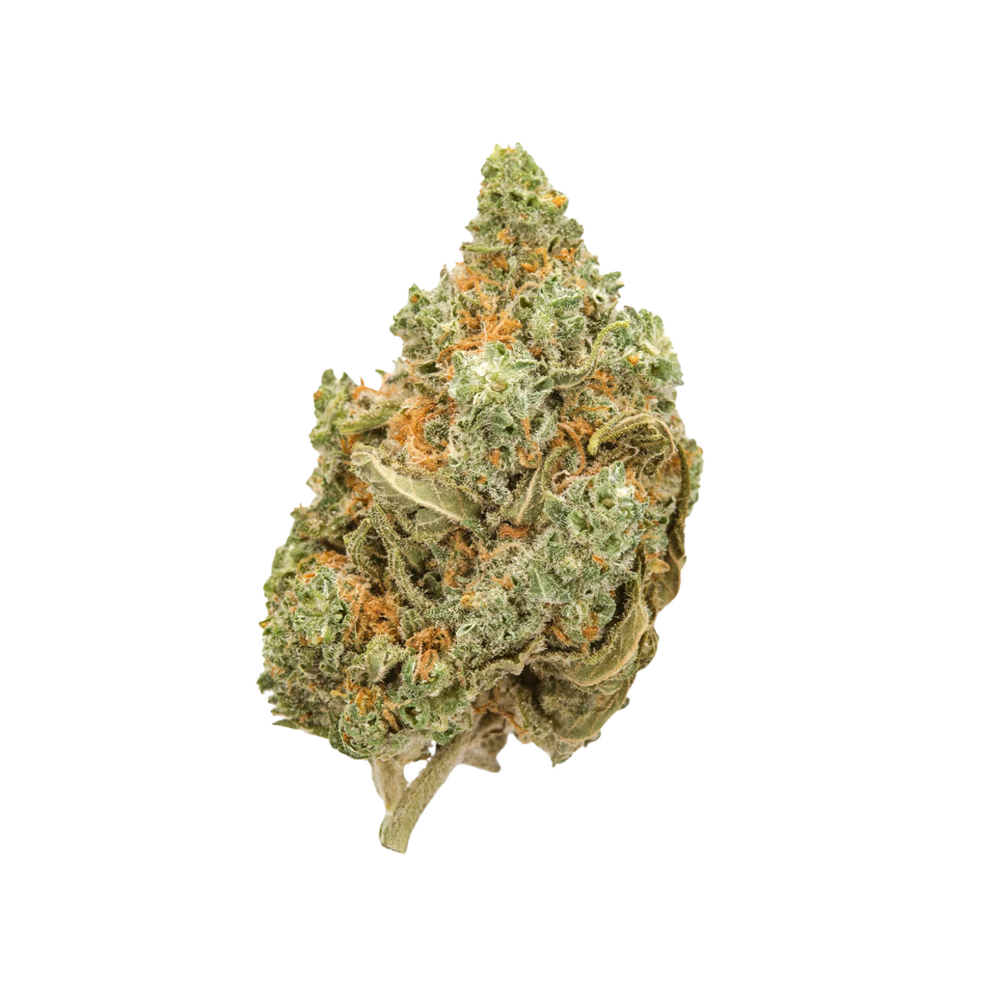 Amnesia HPC