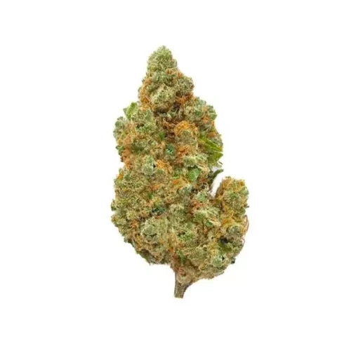 Amnesia Haze Hidro