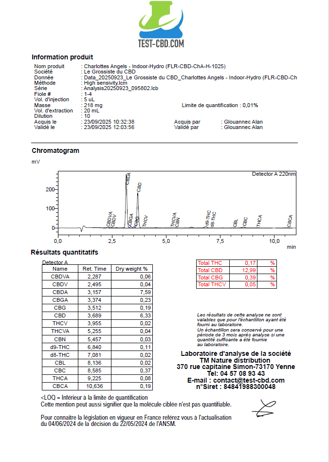 CHARLOTTE'S ANGELS - Hidro