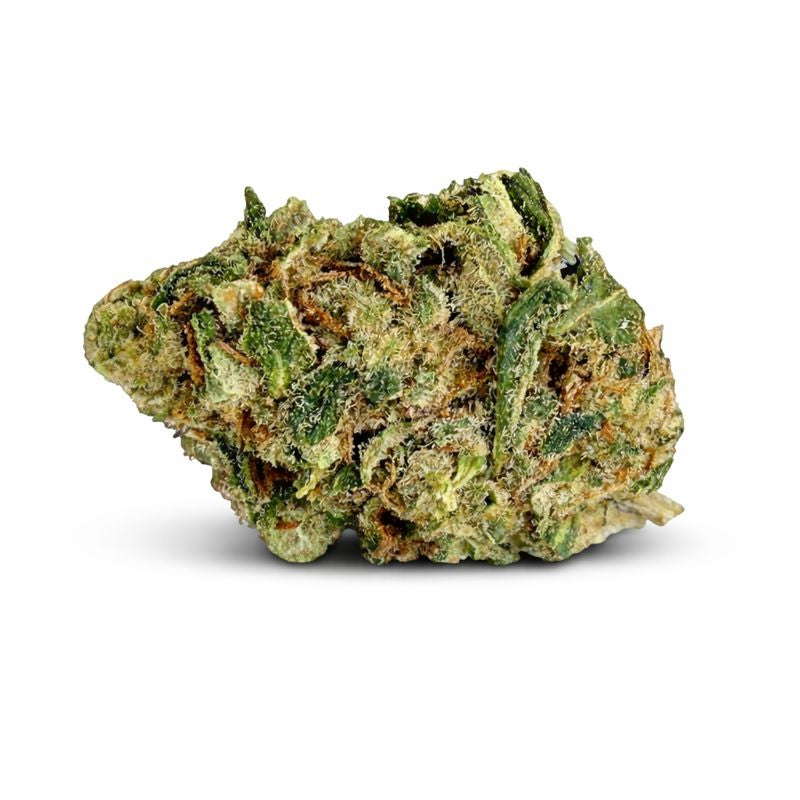 Critical x Amnesia 2.0 - Small Buds