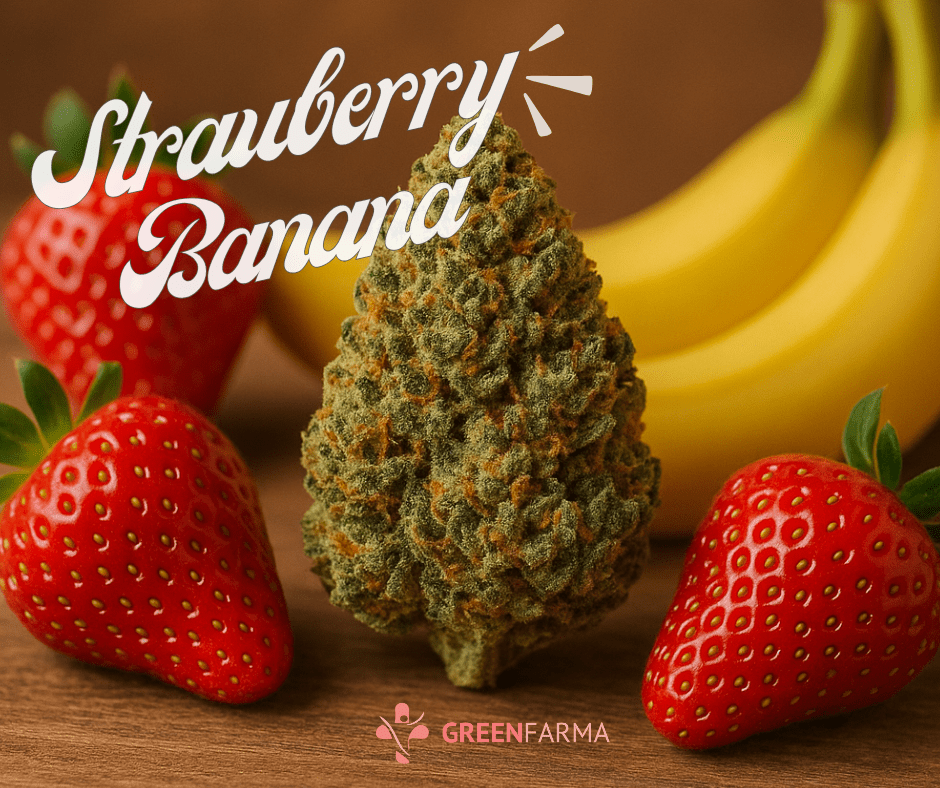 🍓🍌 Strawberry Banana – Small Buds - Premium - GREENFARMA