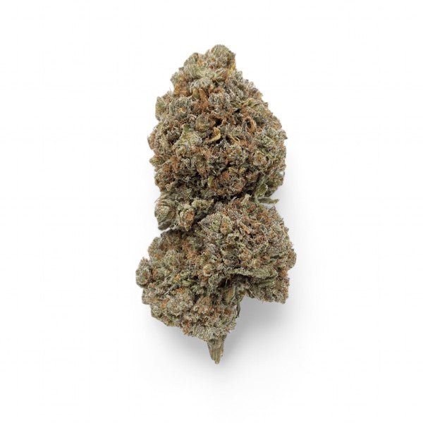 Critical+ 2.0 Hidro - GREENFARMA