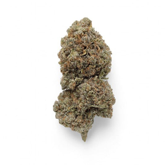 Critical+ 2.0 Hidro - GREENFARMA
