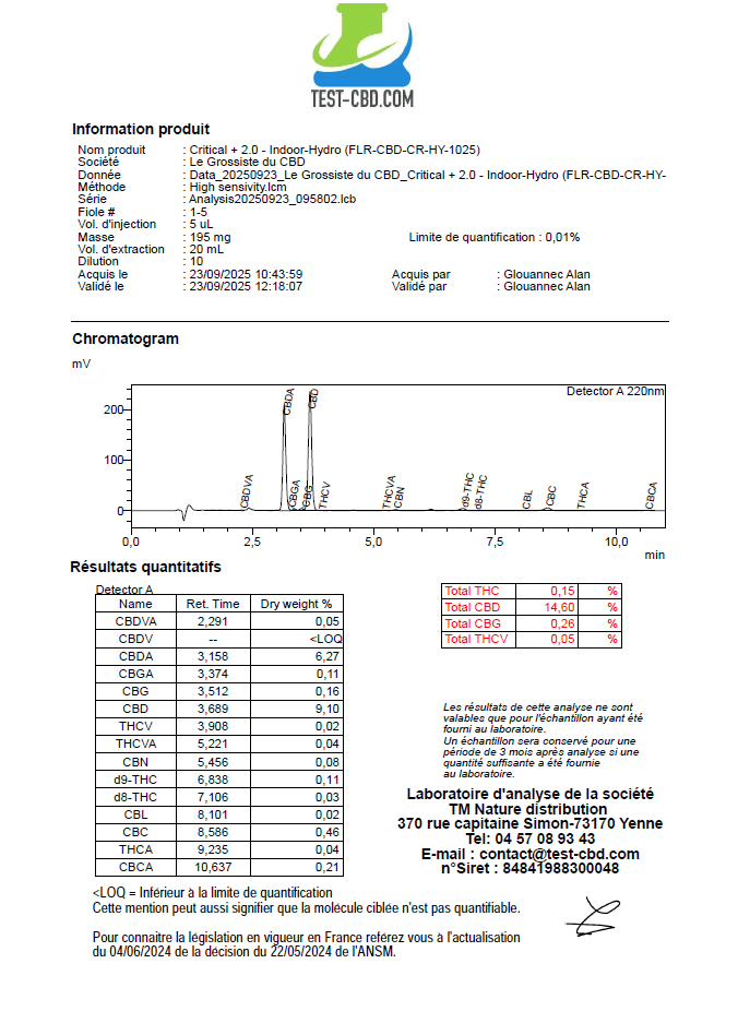 Flor de cbd- CRITICAL + 2.0 HIDRO -Medium Bud - GREENFARMA - cbd