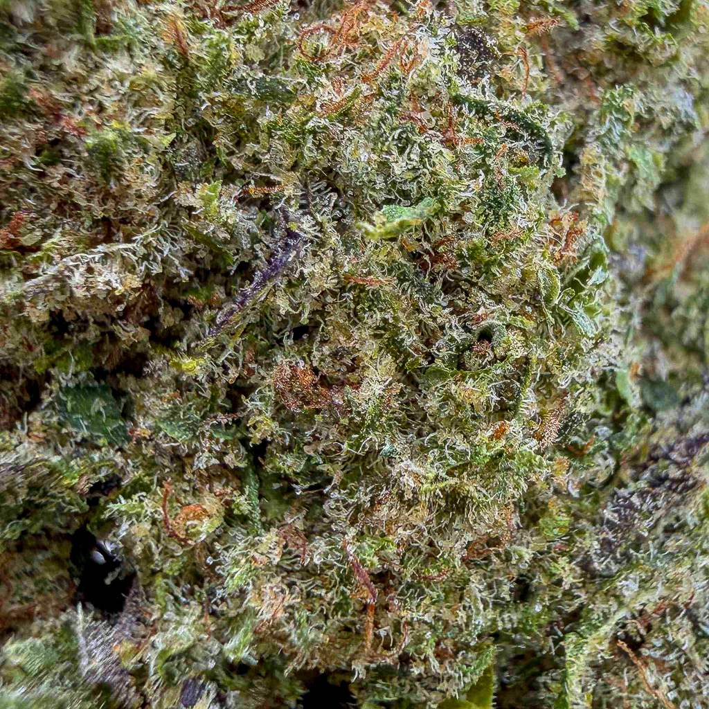 ACAPULCO GOLD - Indoor - Bud Mix - Flores CBD - GREENFARMA - cbd -
