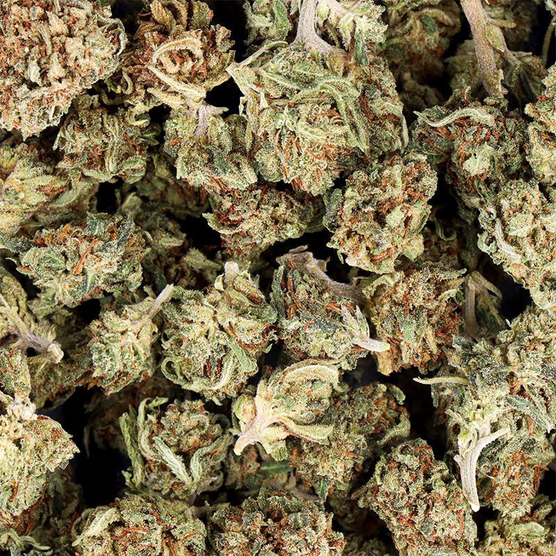 ORANGE BUD - Smallbuds - PREMIUM -Flores CBD- GREENFARMA-cbd-