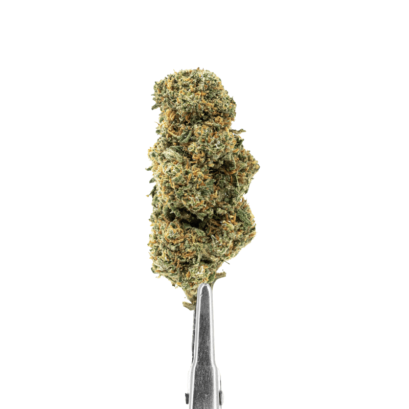 CALI GRAPE- BUDMIX - INDOOR -Flores CBD- GREENFARMA-cbd-