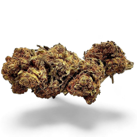 Critical x Amnesia 2.0 - Small Buds - GREENFARMA