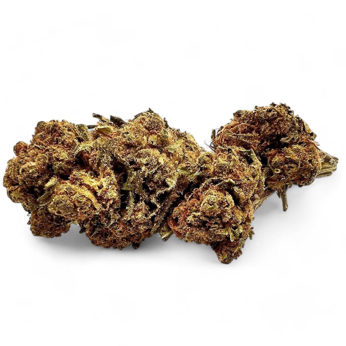 Critical x Amnesia 2.0 - Small Buds - GREENFARMA