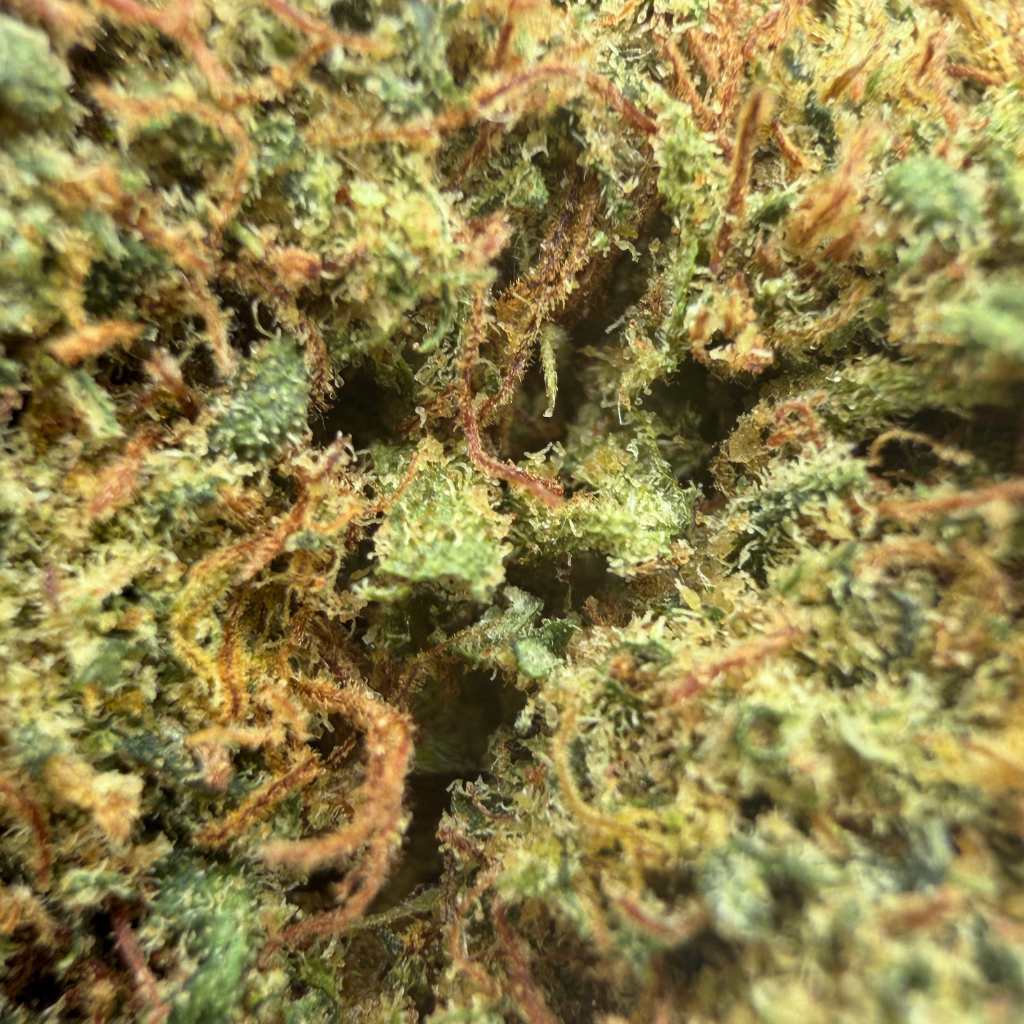 ZKITTLES OG - CALI -Flores- GREENFARMA-cbd-