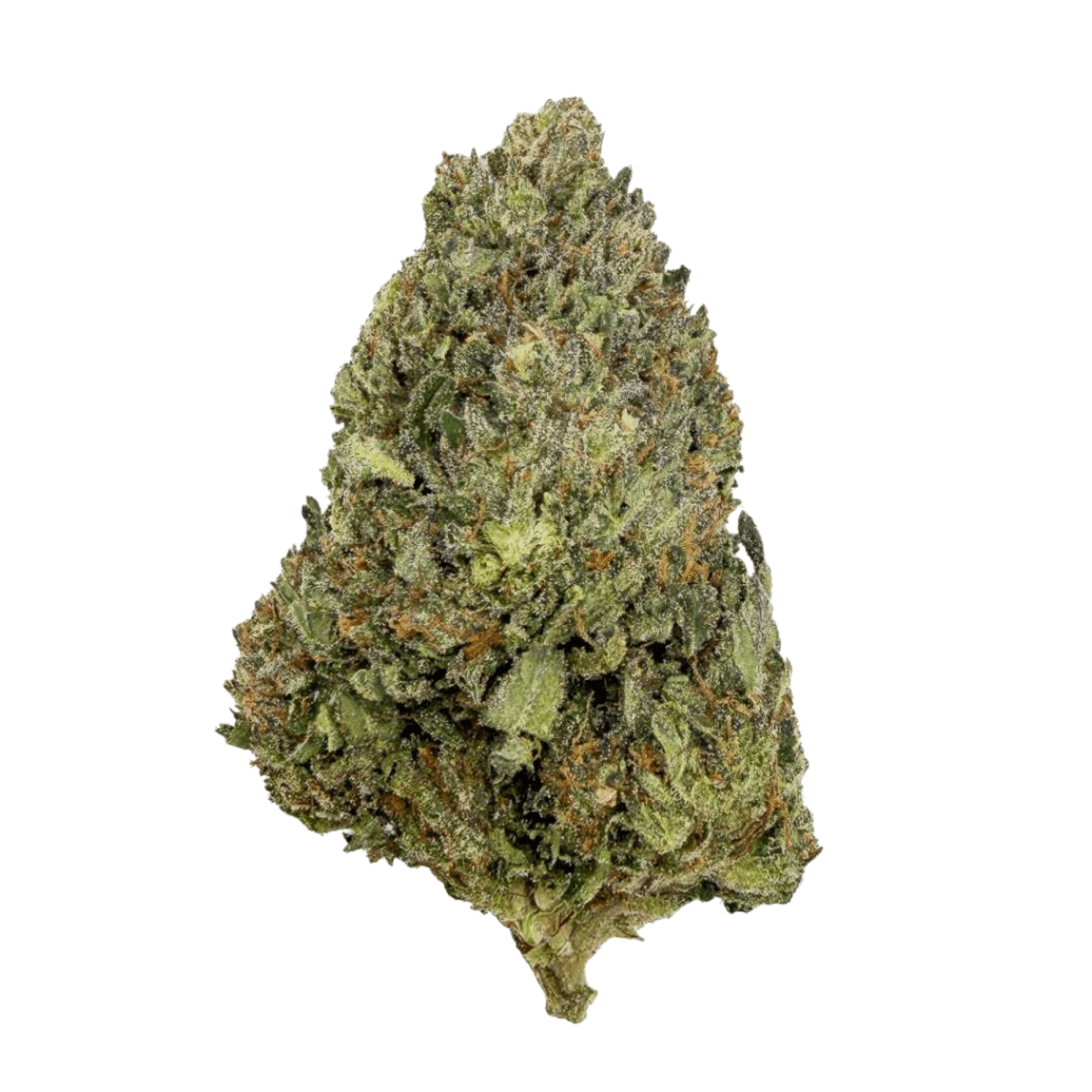 🐞 BEETLEJUICE - Glass - House (CALI) - GREENFARMA