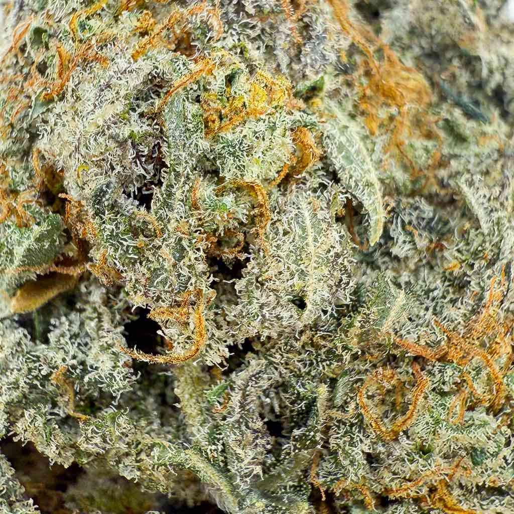 Flor de cbd- BUTTER CREAM GELATO - Indoor (CALI) - GREENFARMA - cbd