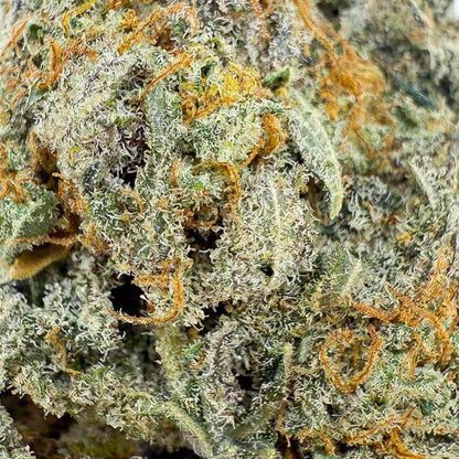 Flor de cbd- BUTTER CREAM GELATO - Indoor (CALI) - GREENFARMA - cbd