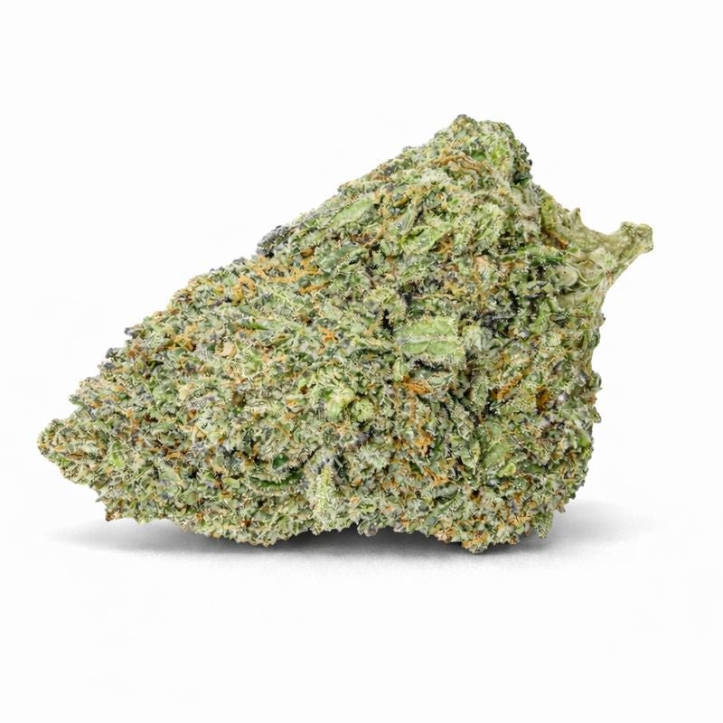 🐞 BEETLE JUICE - Glass - House (CALI) - GREENFARMA