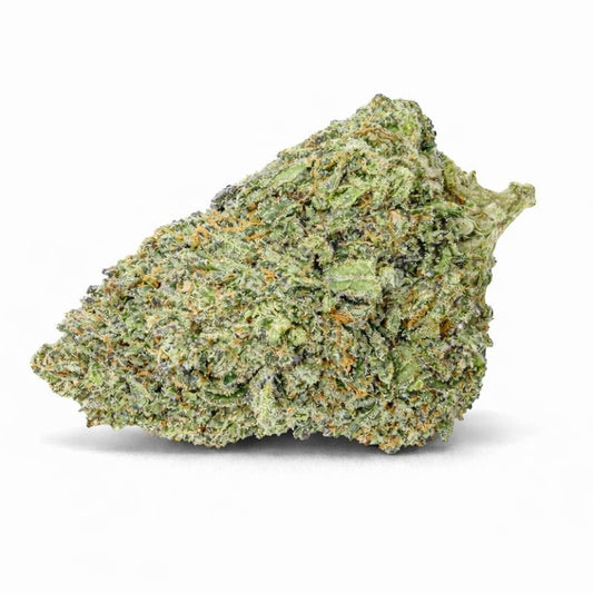 🐞 BEETLE JUICE - Glass-House (CALI)