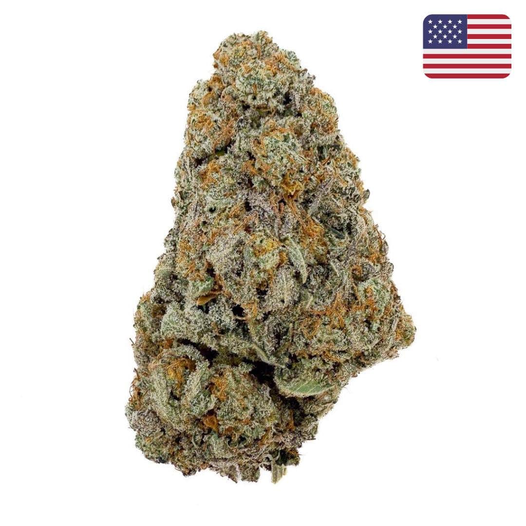 🌿 BUTTERCREAM GELATO - Indoor (CALI) - GREENFARMA