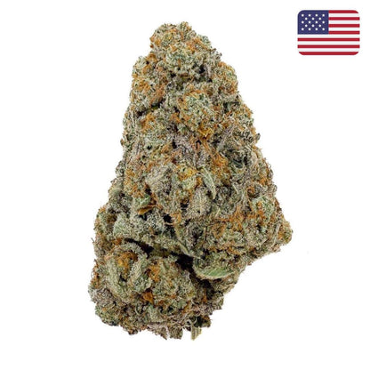 🌿 BUTTERCREAM GELATO - Indoor (CALI) - GREENFARMA