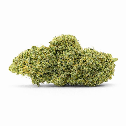 CHARLOTTE'S ANGELS - Hidro