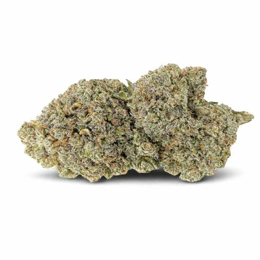 CRITICAL + 2.0 HIDRO - Medium Bud - Flores CBD - GREENFARMA - cbd - 