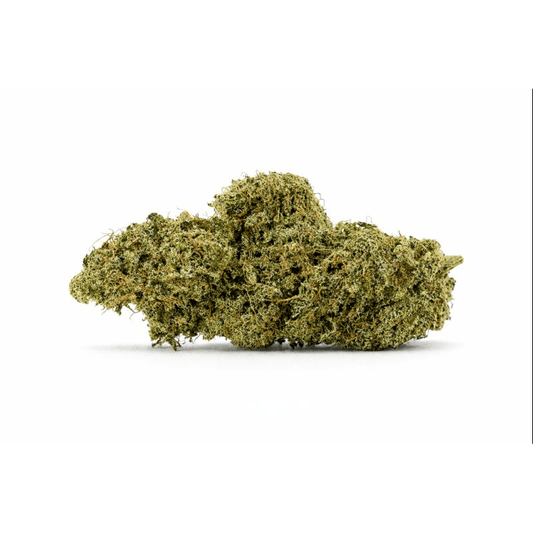 CHARLOTTE'S ANGELS - Hidro