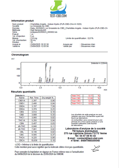 CHARLOTTE'S ANGELS - Hidro