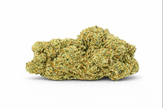 LIFTER US | Hidro 🌱