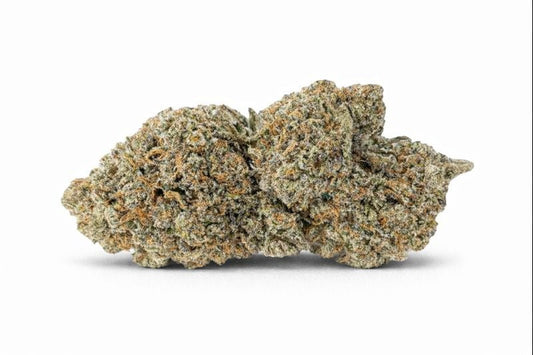 CRITICAL + 2.0 HIDRO