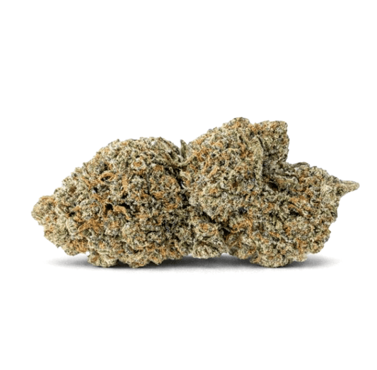 CRITICAL + 2.0 HIDRO