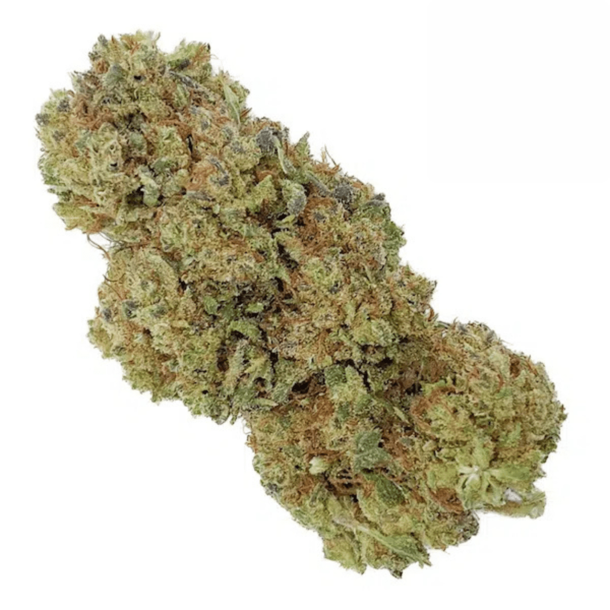 SUPER LEMON HAZE - Glass House - GREENFARMA