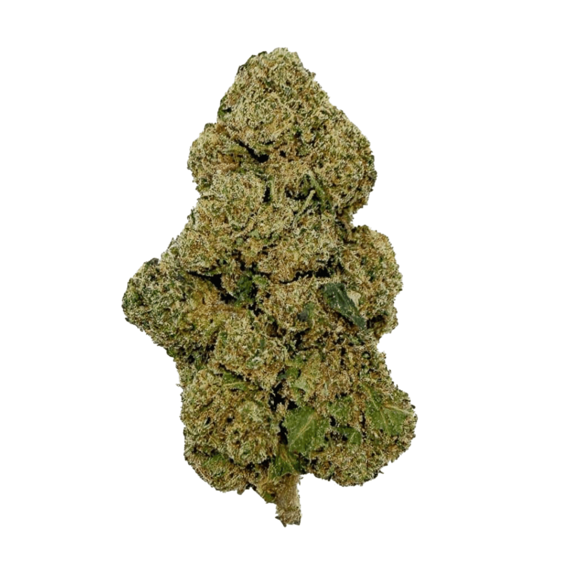 🍬 ZKITTLEZ - THCX 2.0 - Indoor - GREENFARMA