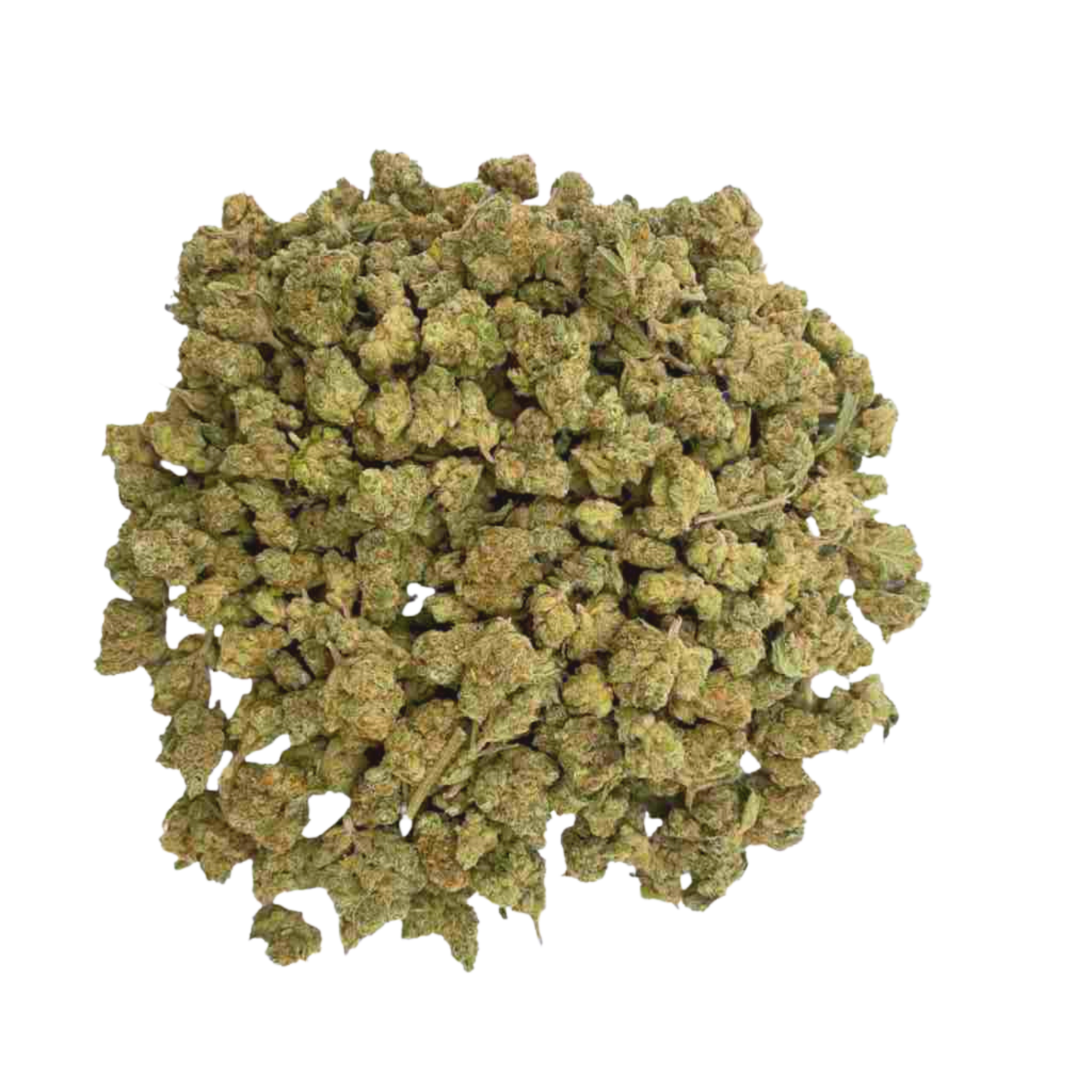 ORANGE BUD - Smallbuds - PREMIUM