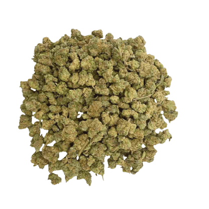 ORANGE BUD - Smallbuds - PREMIUM