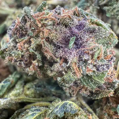 CANNATONIC THCX 2.0 - 60%
