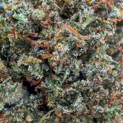 LEMON CHERRY THCX 2.0 - Big Bud - Indoor - CALI - Flores CBD - GREENFARMA - cbd - 