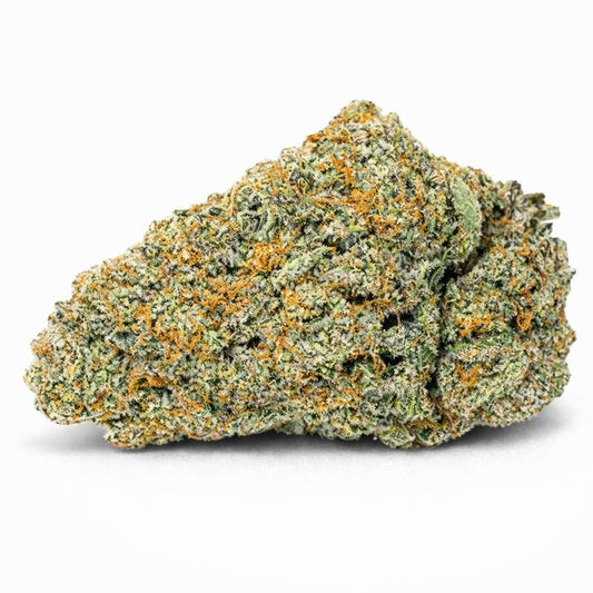 🍦 BUTTER CREAM GELATO - Indoor (CALI)