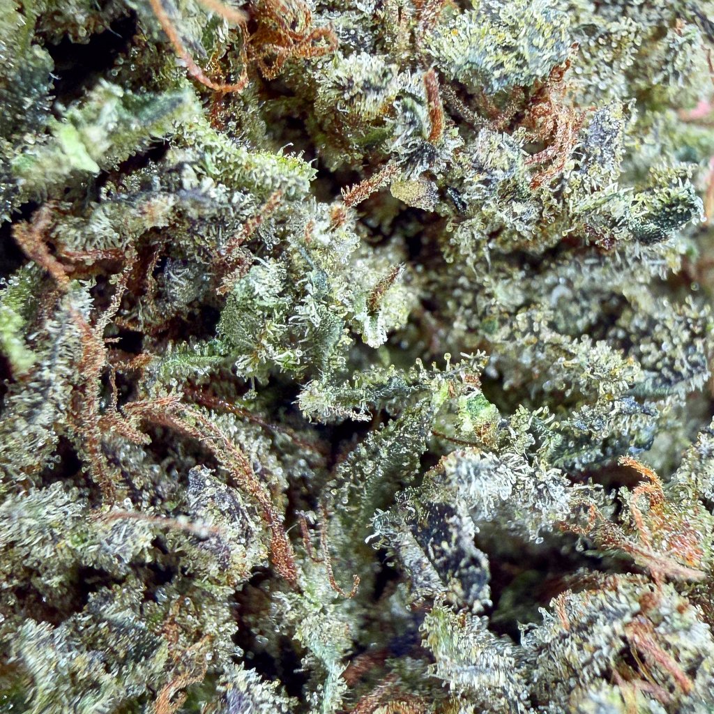 SOUR MANGO - California - Flores - GREENFARMA - cbd - 