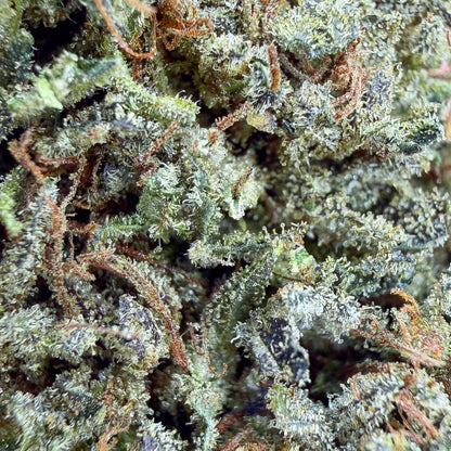 SOUR MANGO - California - Flores - GREENFARMA - cbd - 