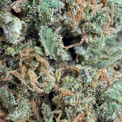 SOUR LEMON - California - Flores - GREENFARMA - cbd - 