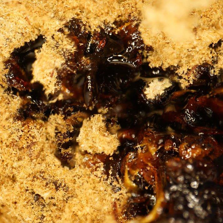 Flor de cbd- MOONROCK INDOOR 48% - GREENFARMA - cbd