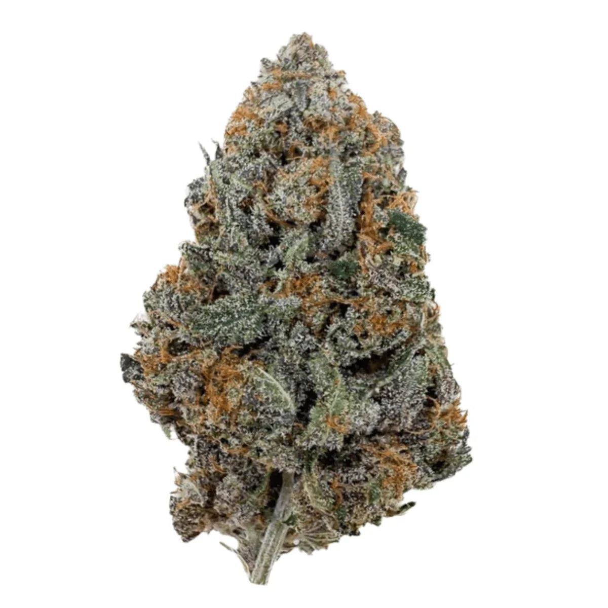 RED RUNTZ - Big Bud - Indoor (CALI) - Flores - GREENFARMA - cbd - 