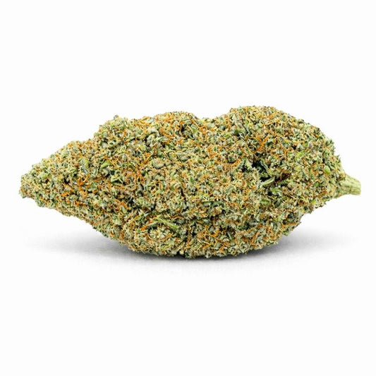 🌌 SKYWALKER OG -BIG BUD- Indoor (CALI)