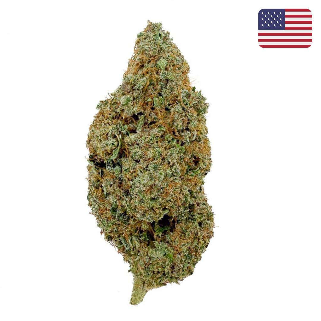 🌌 SKYWALKER OG - BIG BUD - Indoor (CALI) - GREENFARMA