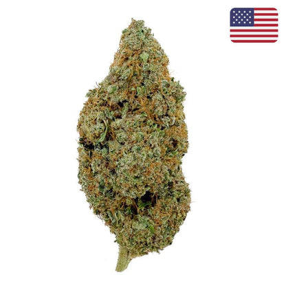 🌌 SKYWALKER OG - BIG BUD - Indoor (CALI) - GREENFARMA