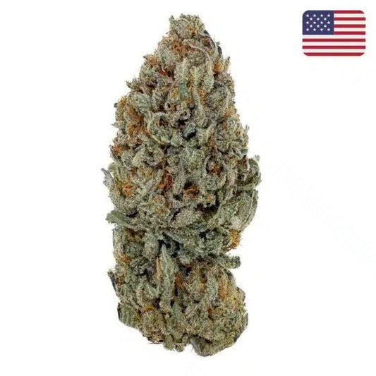 🌿 SOUR DIESEL - Big Bud - Indoor (CALI) - GREENFARMA