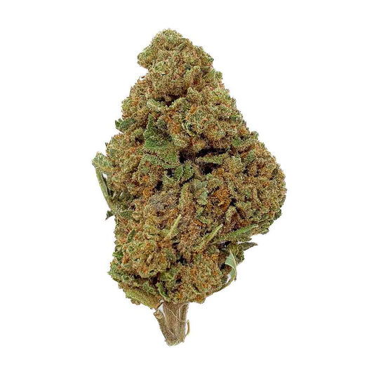 WATERMELON - Bud mix