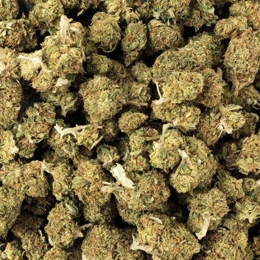 TUTTI FRUTTI - Small Buds Indoor - GREENFARMA