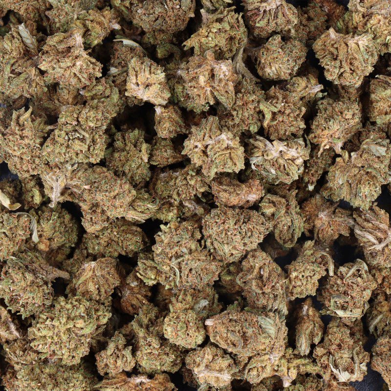 FANTA - Small Buds indoor - GREENFARMA