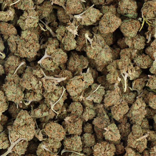 🍦 ICE CREAM CAKE -  SMALL BUD - HIDRO