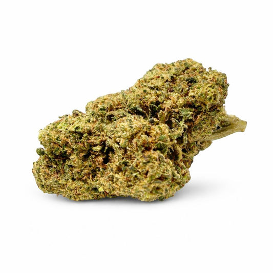 LEMON SPECIAL - CBDX - Indoor - Flores CBD - GREENFARMA - cbd - 